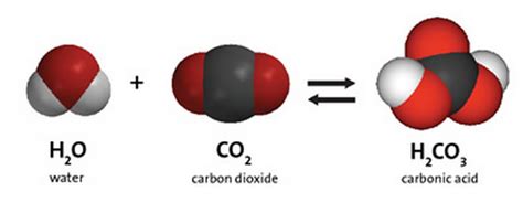 carbonic acid decomposition reaction